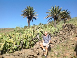 Kaktusfeigen am Wegesrand